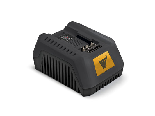 MOWOX Akku und Schnellladegerät - Starter-Kit1 (BA 154 SET)