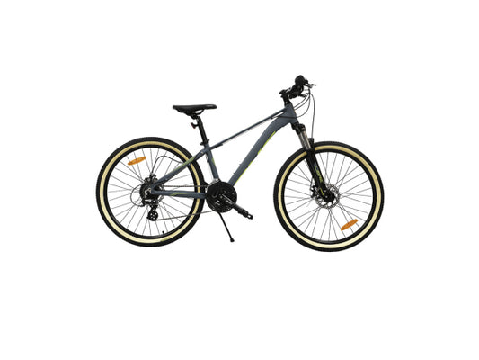 Phoenix Mountainbike 26 Zoll grau / gelb