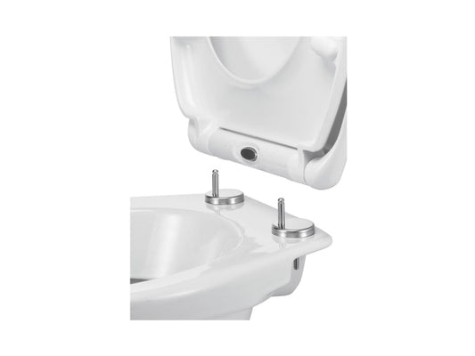 FS-Star WC-Sitz aus Duroplast mit Schnellverschluss und Soft Close