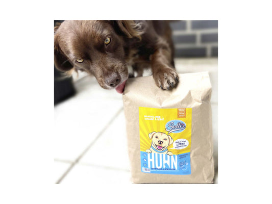 Sollis Solli's TF Hund Huhn 12kg (Regular)