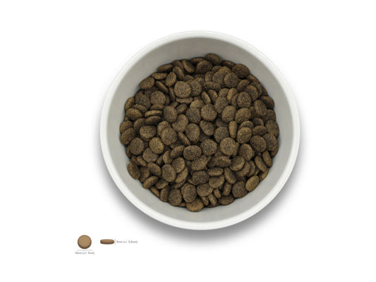 Sollis Solli's TF Hund Angus-Rind 12kg