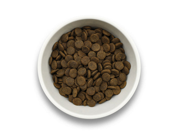 Sollis Solli's TF Hund Ente 2kg Kaufuniversum - Sollis Solli's TF Hund Ente 2kg