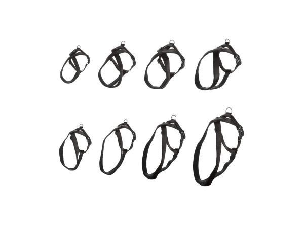 Flamingo Geschirr Nylon Abbi schwarz XS Kaufuniversum - Flamingo Geschirr Nylon Abbi schwarz XS