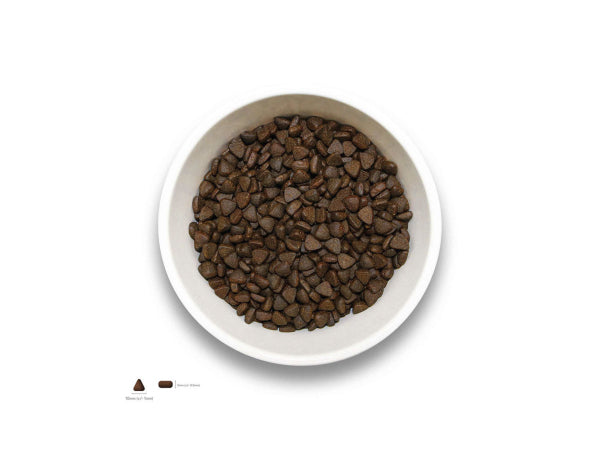 Sollis Solli's TF Hund Angus-Rind-Minis 6kg Kaufuniversum - Sollis Solli's TF Hund Angus-Rind-Minis 6kg