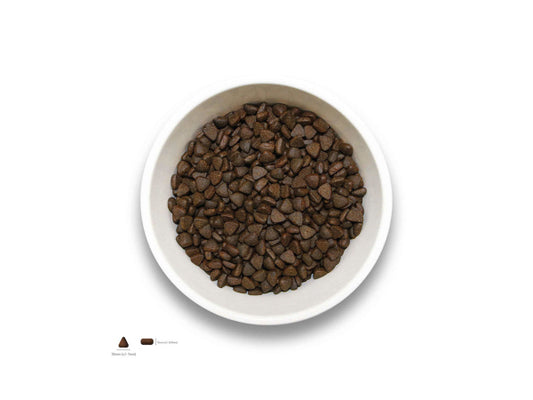 Sollis Solli's TF Hund Angus-Rind-Minis 2kg