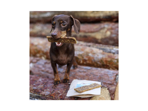 Sollis Solli's Snack Hund Soft-Kaustreifen Pferd 100g Kaufuniversum - Sollis Solli's Snack Hund Soft-Kaustreifen Pferd 100g