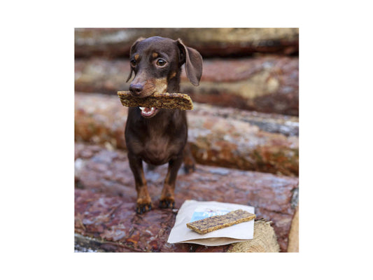 Sollis Solli's Snack Hund Soft-Kaustreifen Pferd 100g