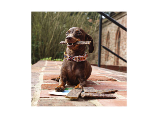 Sollis Solli's Snack Hund Soft-Kaustreifen Hirsch 100g