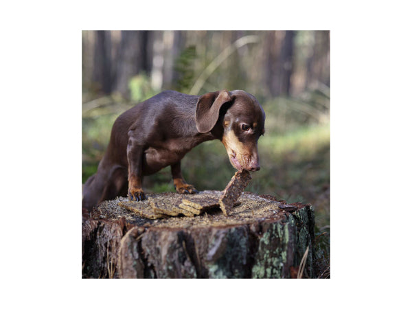 Sollis Solli's Snack Hund Soft-Kaustreifen Ente 100g Kaufuniversum - Sollis Solli's Snack Hund Soft-Kaustreifen Ente 100g