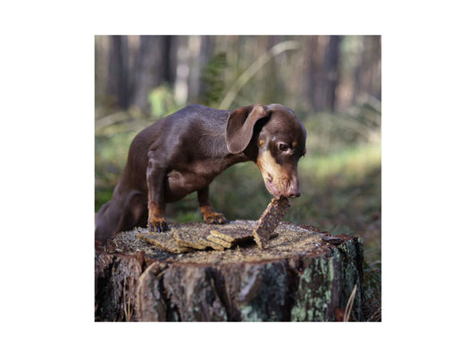 Sollis Solli's Snack Hund Soft-Kaustreifen Ente 100g