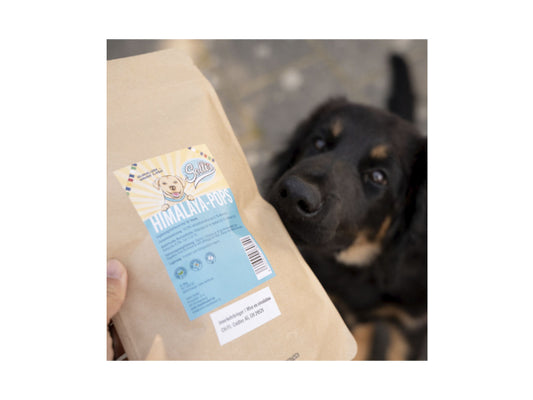 Sollis Solli's Snack Hund Himalaya Käsepops 50g