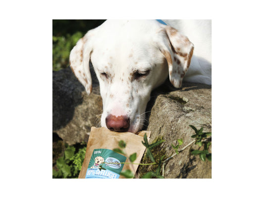 Sollis Solli's Snack Hund Geflügel Leckerei 100g