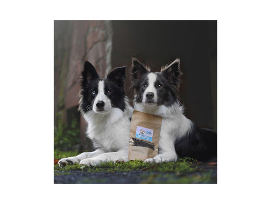 Sollis Solli's Snack Hund Fisch Snack für Haut und Fell 80g