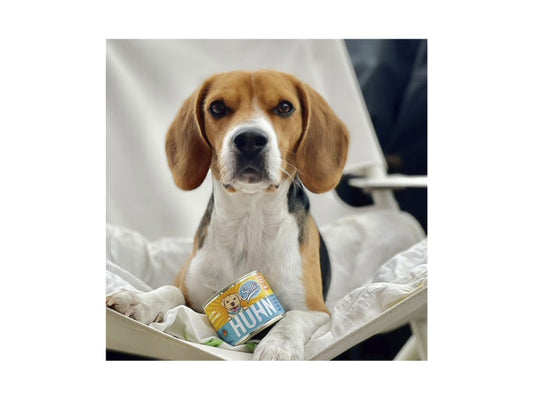 Sollis Solli's NF Hund Huhn 400g