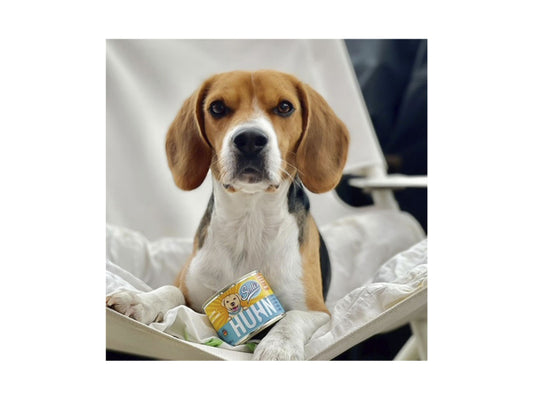 Sollis Solli's NF Hund Huhn 200g