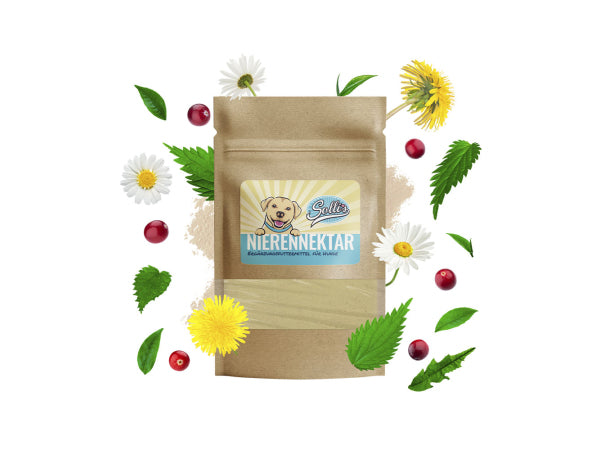 Sollis Solli's FE Hund Nierennektar - Nierenpulver 100g Kaufuniversum - Sollis Solli's FE Hund Nierennektar - Nierenpulver 100g
