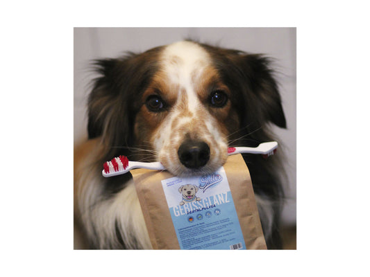 Sollis Solli's FE Hund Gebissglanz - Dentalpulver 100g