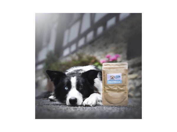 Sollis Solli's FE Hund Fellfinesse - Pulver für Haut & Fell 100g Kaufuniversum - Sollis Solli's FE Hund Fellfinesse - Pulver für Haut & Fell 100g
