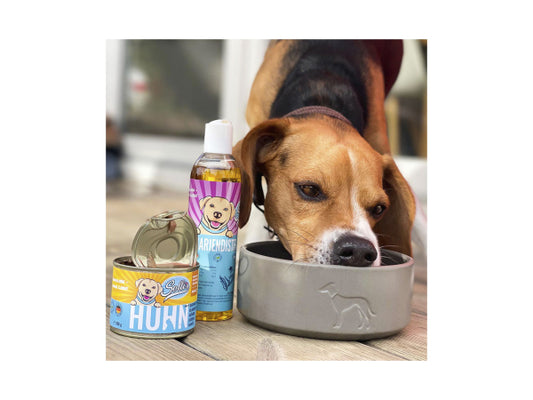 Sollis Solli's FE Hund Mariendistelöl