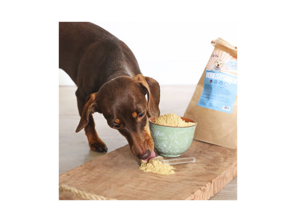 Sollis Solli's FE Hund Mobilitätsmagie - Gelenkpulver 100g Kaufuniversum - Sollis Solli's FE Hund Mobilitätsmagie - Gelenkpulver 100g