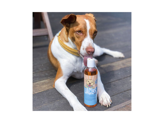 Sollis Solli's FE Hund Norwegisches Lachsöl