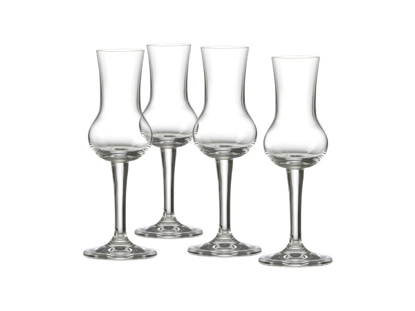 Ritzenhoff & Breker Mambo Grappagläserset 4-teilig Kaufuniversum - Ritzenhoff & Breker Mambo Grappagläserset 4-teilig