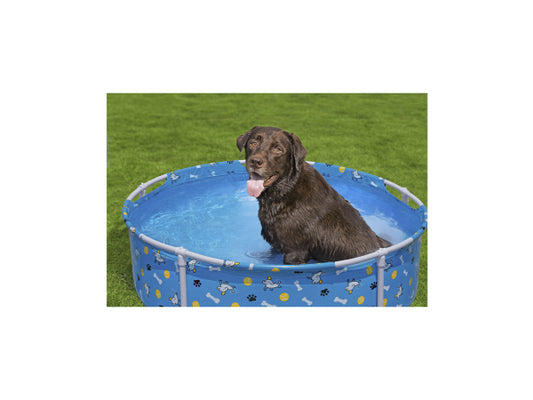 Bestway Fetchin' Fun Pool für Haustiere