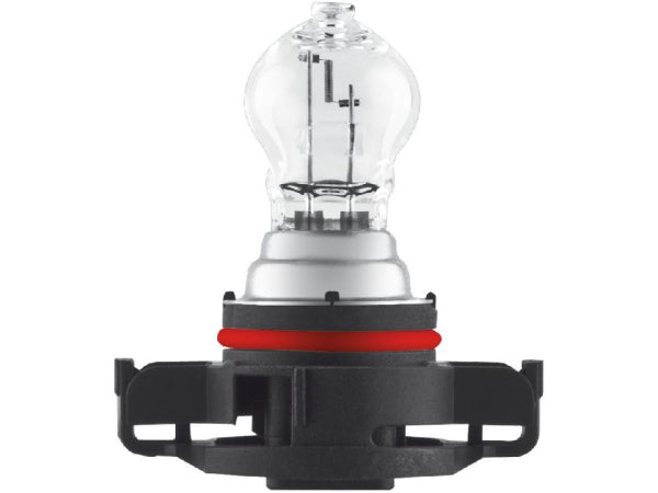 OSRAM Glühlampe 12V 24W PG20-7 Kaufuniversum - OSRAM Glühlampe 12V 24W PG20-7