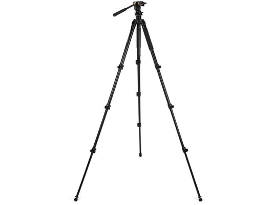 Celestron Stativ Regal Premium