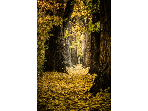 Pentax HD DA 16-85mm/3,5-5.6 ED DC WR Kaufuniversum - Pentax HD DA 16-85mm/3,5-5.6 ED DC WR