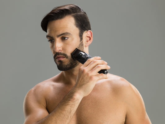 Panasonic Bartschneider Wet/Dry GB43