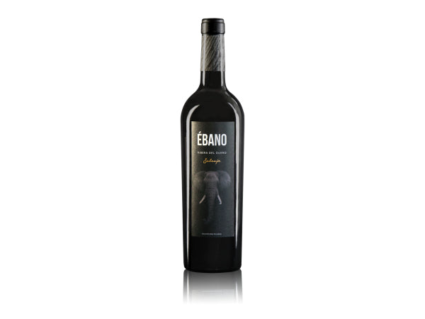Tunante de Azabache Tempranillo 2022 Kaufuniversum - Tunante de Azabache Tempranillo 2022