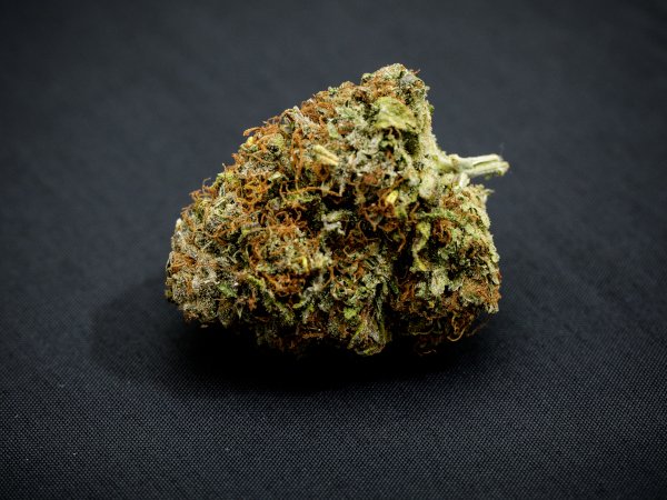 Kaufuniversum - "FITS" LEMON HAZE CBD INDOOR CBD Blüten mit 22% CBD