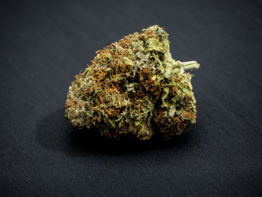 Kaufuniversum - "FITS" LEMON HAZE CBD INDOOR CBD Blüten mit 22% CBD