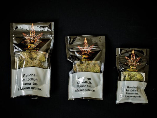 "FITS" LEMON HAZE CBD INDOOR CBD Blüten mit 22% CBD