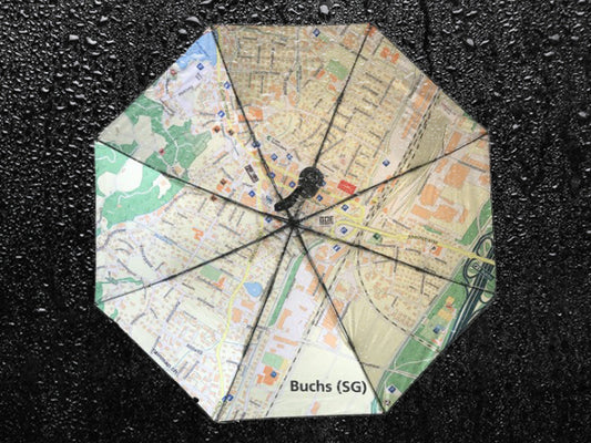 Kaufuniversum - Rainmap Taschenschirm Davos