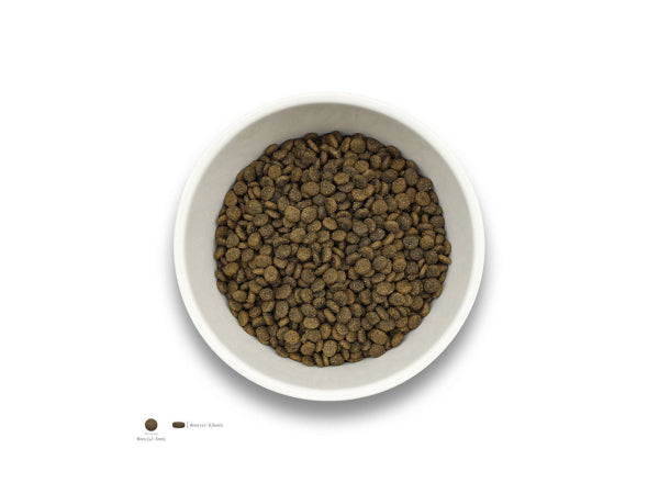 Kaufuniversum - Sollis Solli's TF Hund Ente-Minis 2kg