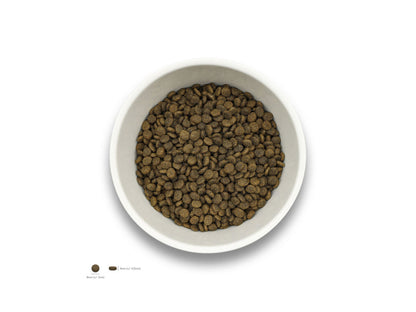 Sollis Solli's TF Hund Ente-Minis 2kg