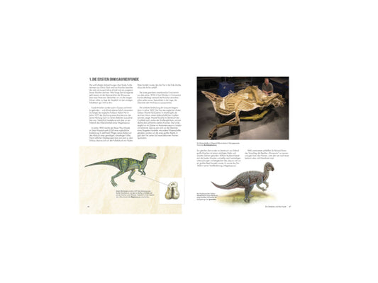XXL Kinderbuch "Dinosaurier"