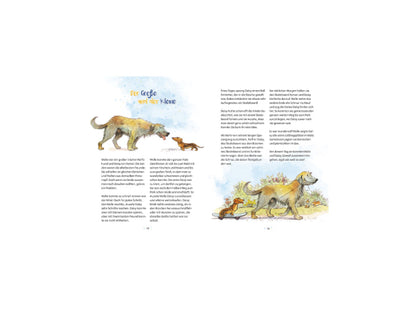 XXL Kinderbuch "Tiergeschichten zur guten Nacht"