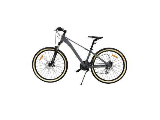 Kaufuniversum - Phoenix Mountainbike 26 Zoll grau / gelb
