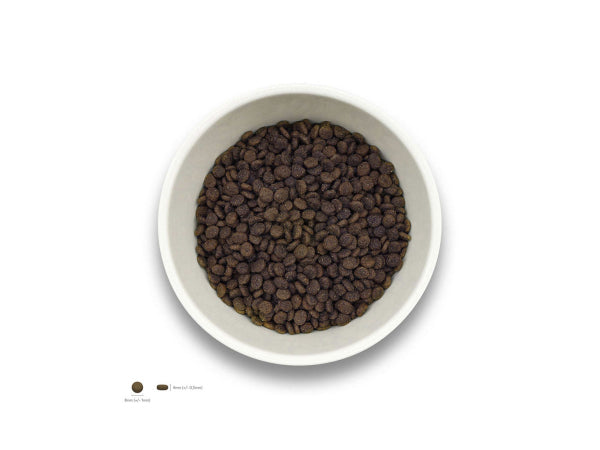 Kaufuniversum - Sollis Solli's TF Hund Junior-Minis Truthahn 500g