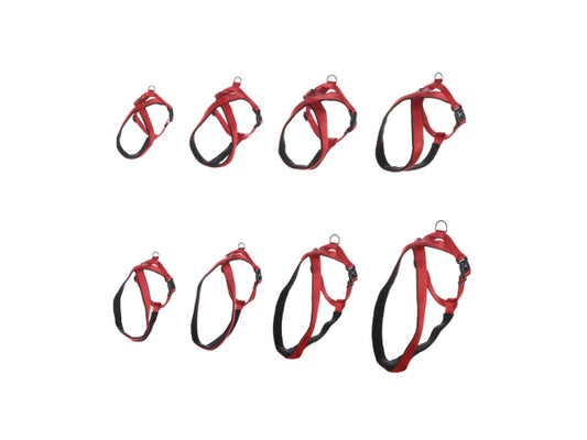 Flamingo Geschirr Nylon Abbi rot S