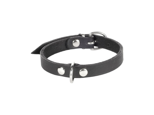 Kaufuniversum - Flamingo Halsband Leder Seattle schwarz XL