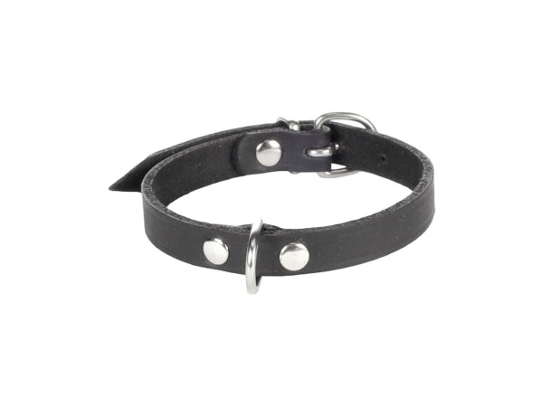 Kaufuniversum - Flamingo Halsband Leder Seattle schwarz L