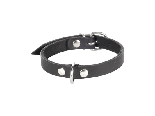 Kaufuniversum - Flamingo Halsband Leder Seattle schwarz L
