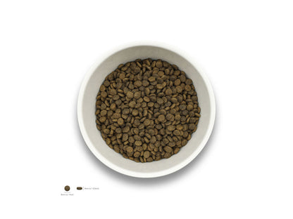 Sollis Solli's TF Hund Ente-Minis 6kg