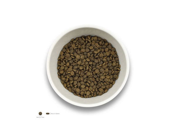 Kaufuniversum - Sollis Solli's Snack Hund Geflügel für das Immunsystem 80g