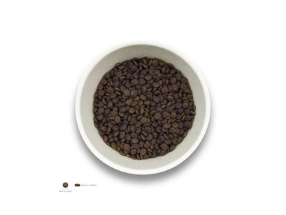 Sollis Solli's TF Hund Junior-Minis Truthahn 2kg