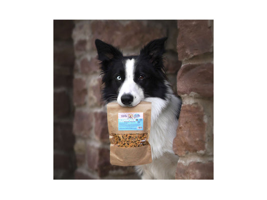 Sollis Solli's Snack Hund Mini-Fleischwürfel Kaninchen 100g